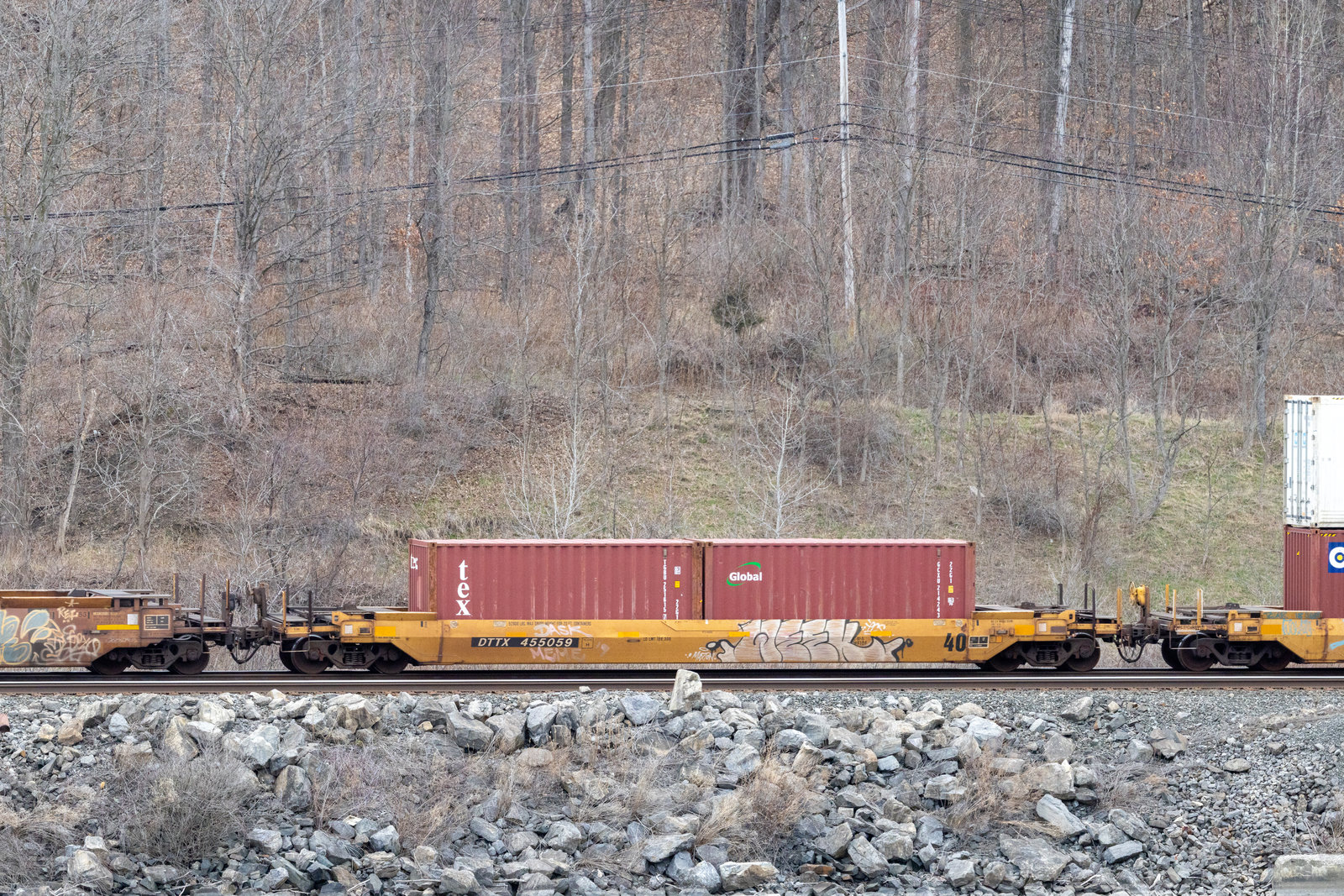 DTTX 455059