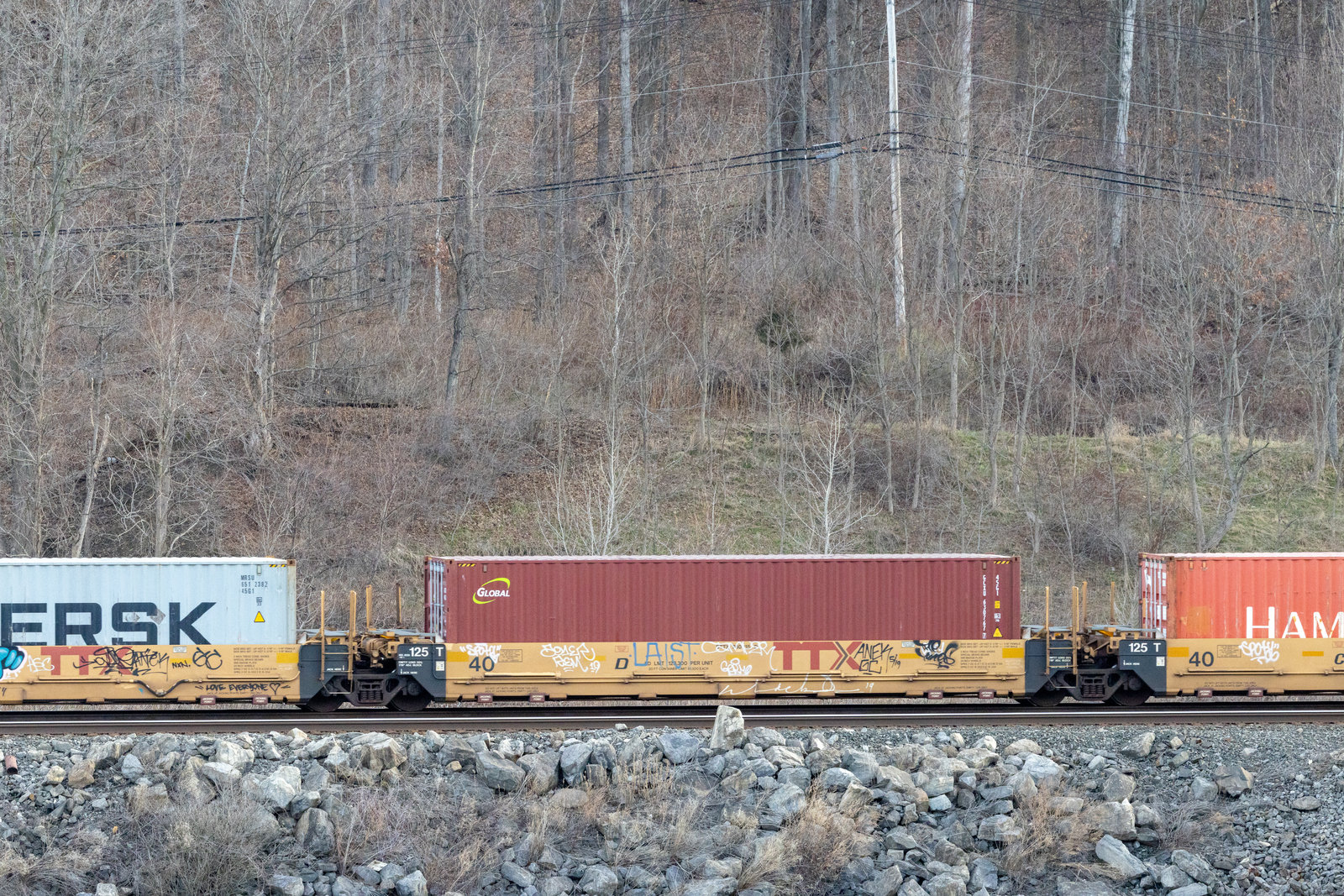 DTTX 760015D