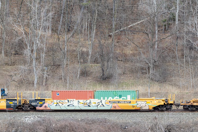 DTTX 795427B