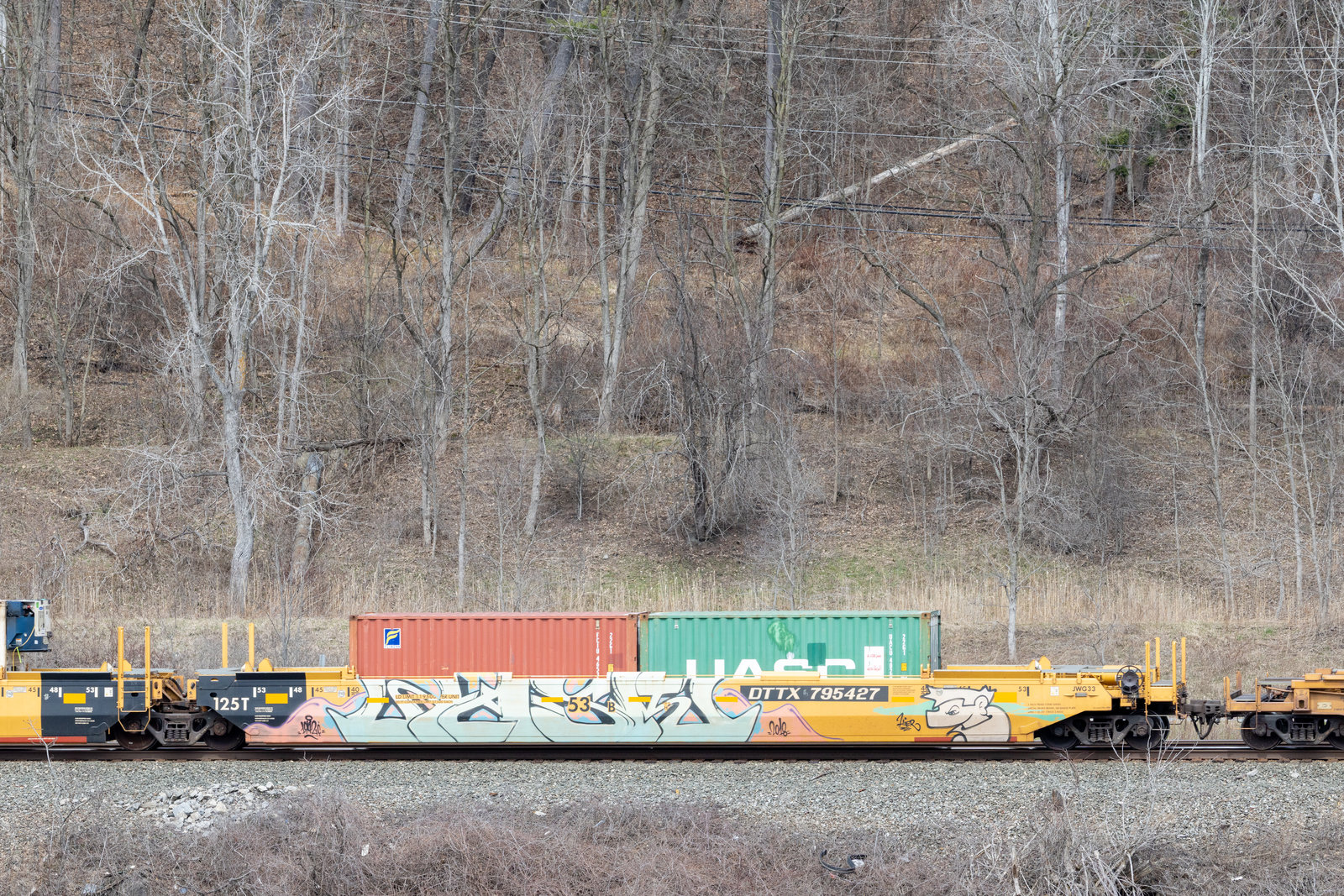 DTTX 795427B