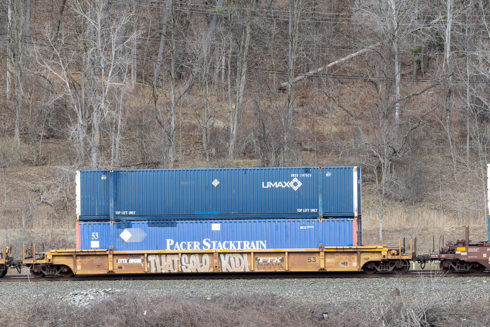 DTTX 681099