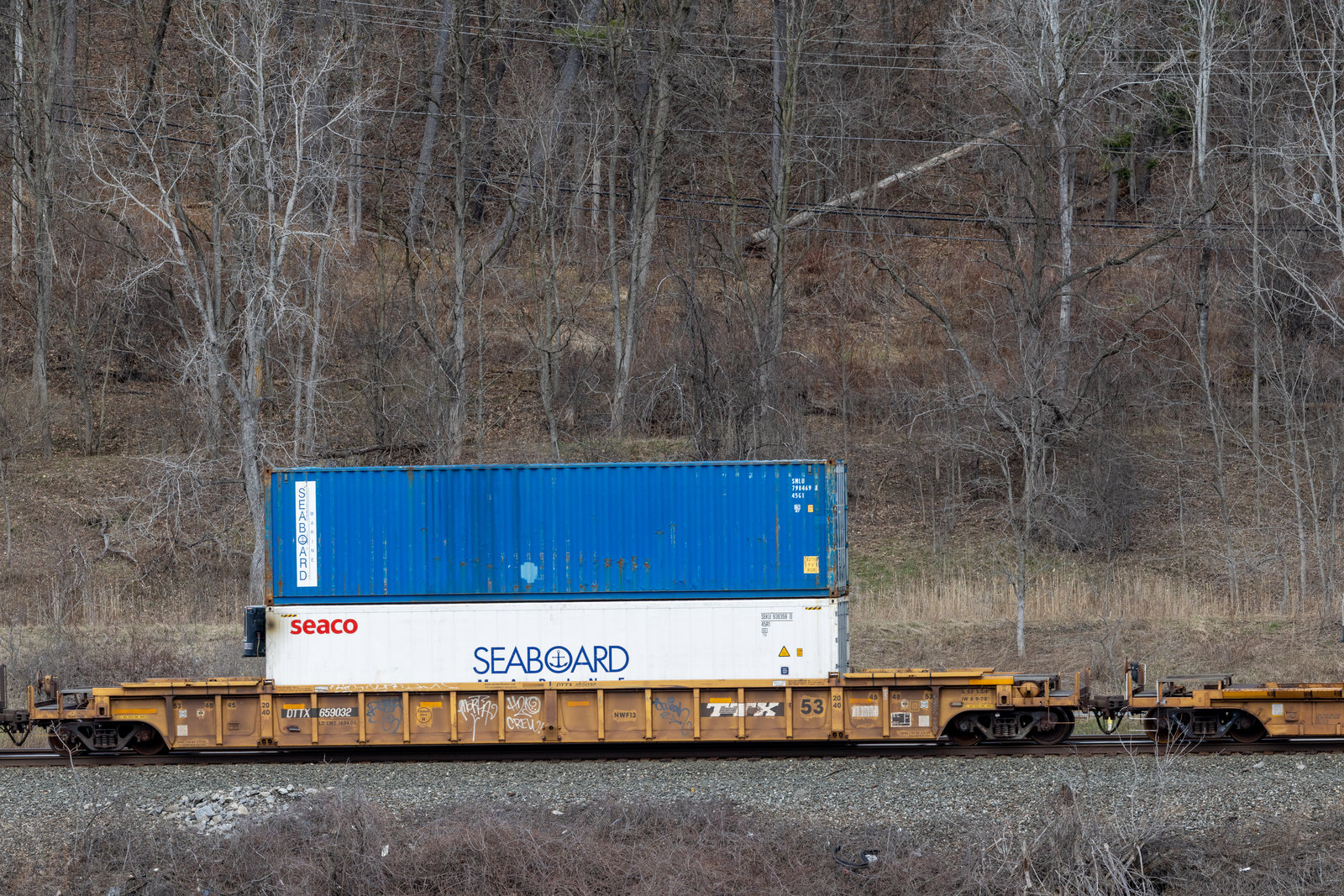 DTTX 659032