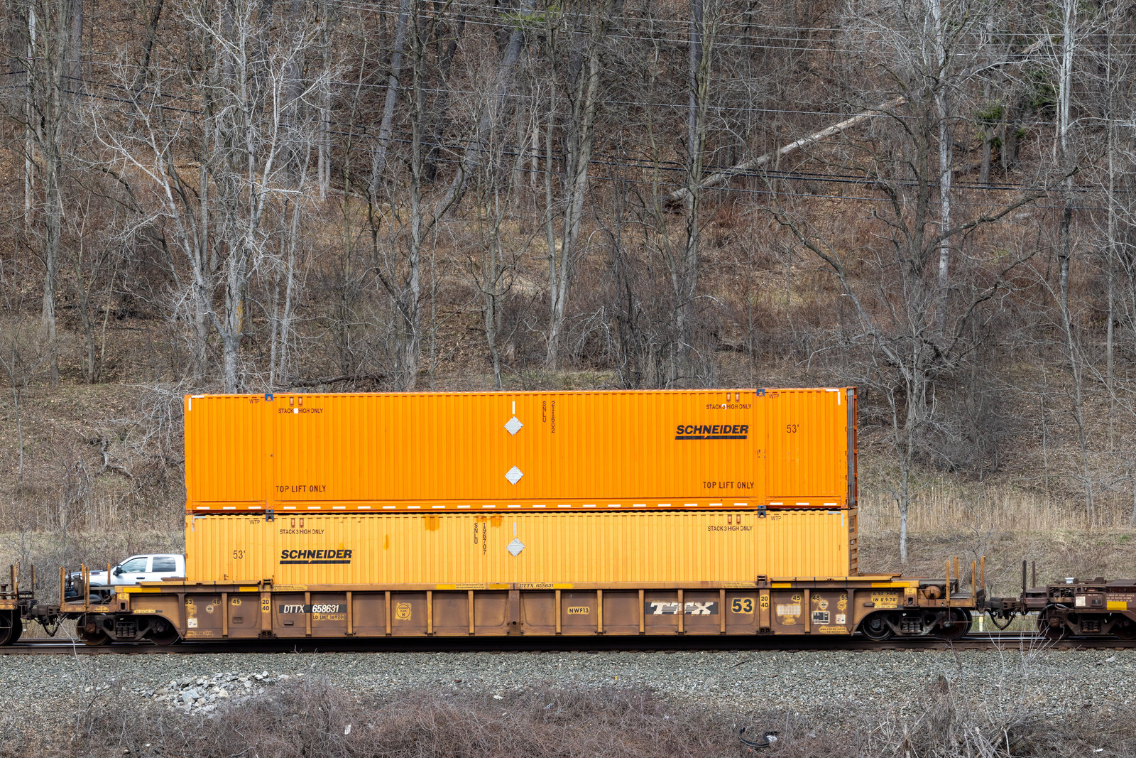 DTTX 658631