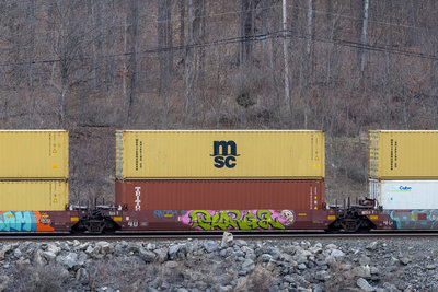 BNSF 270495E