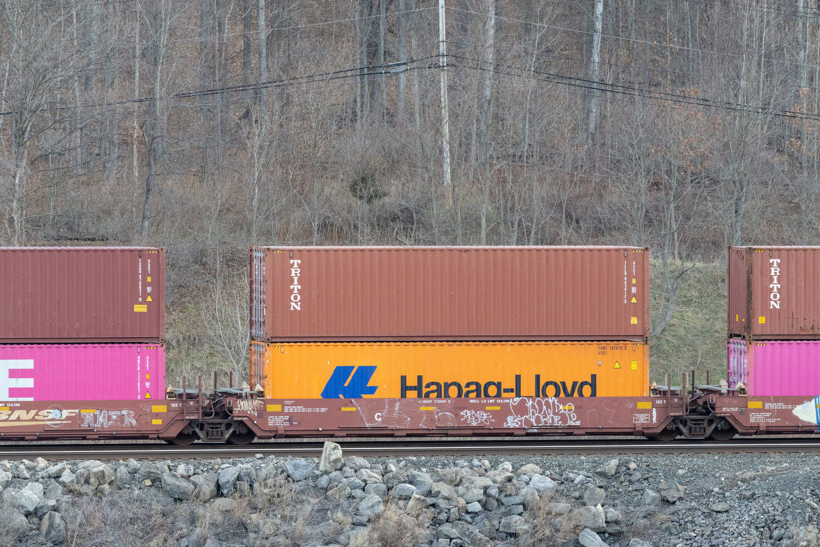 BNSF 239000C