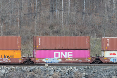 BNSF 239000D