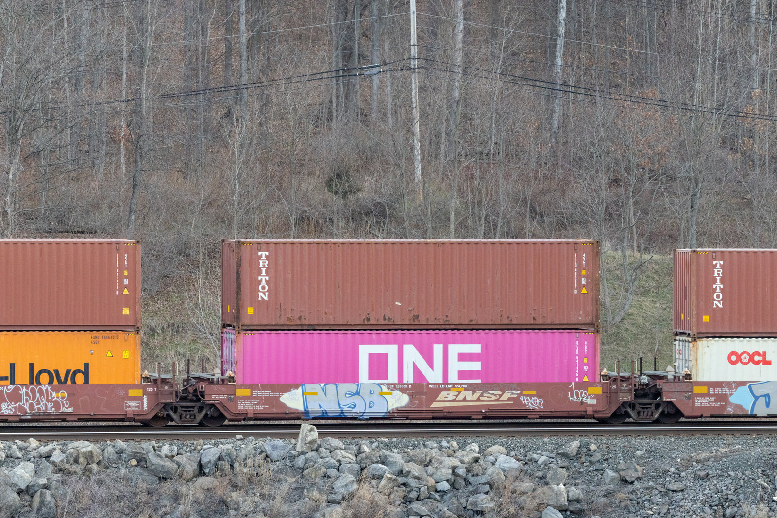 BNSF 239000D