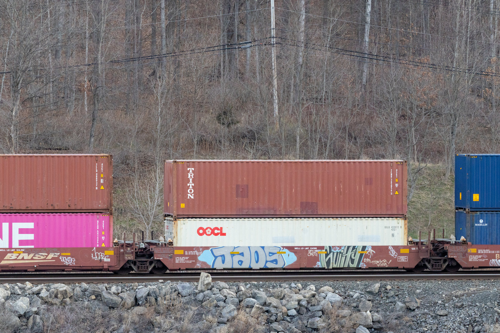 BNSF 239000E