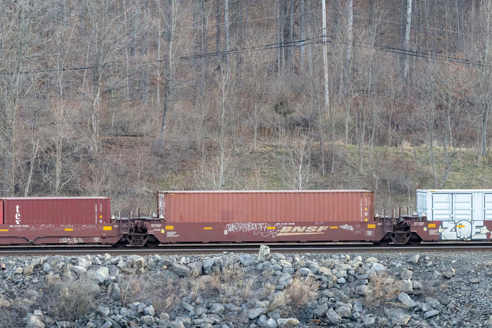 BNSF 239659D