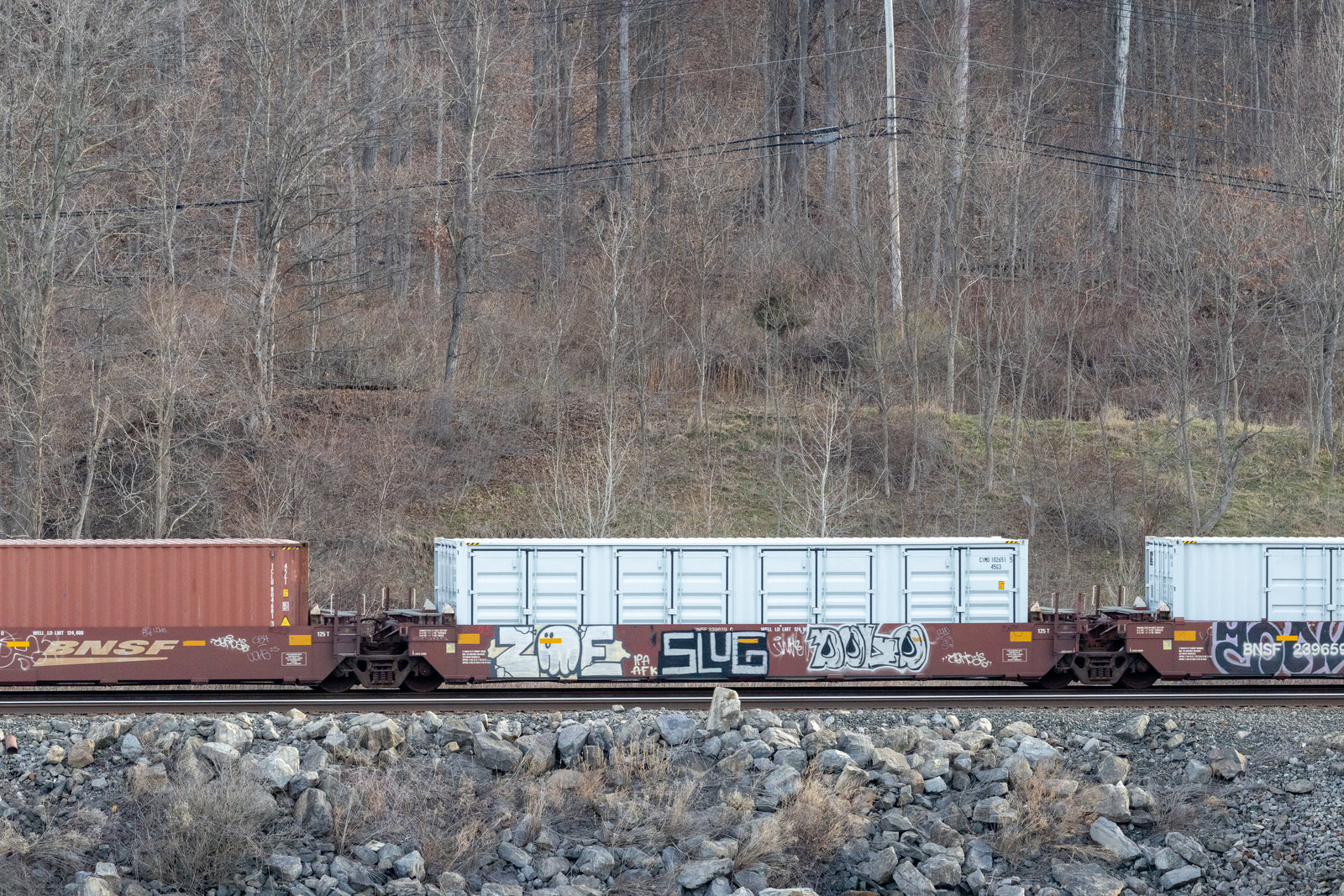 BNSF 239659C
