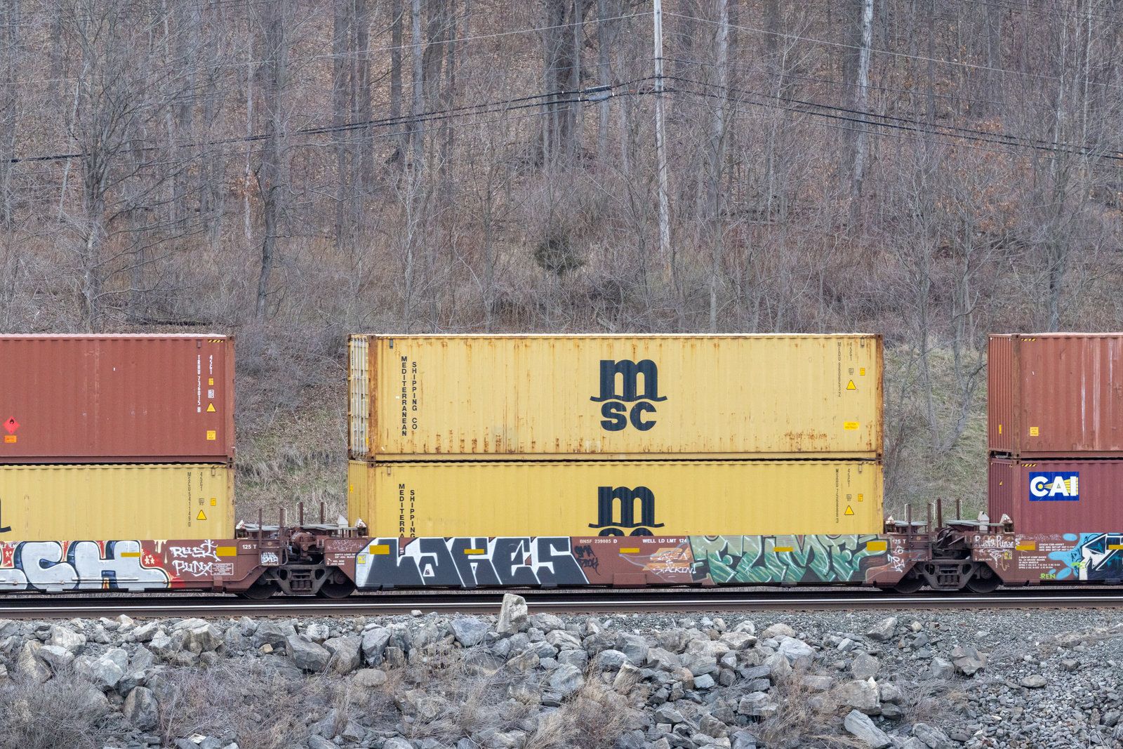 BNSF 239085D