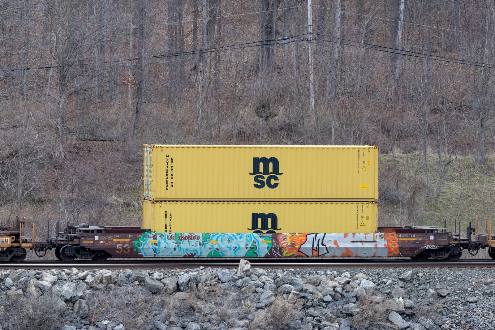 CP 527206