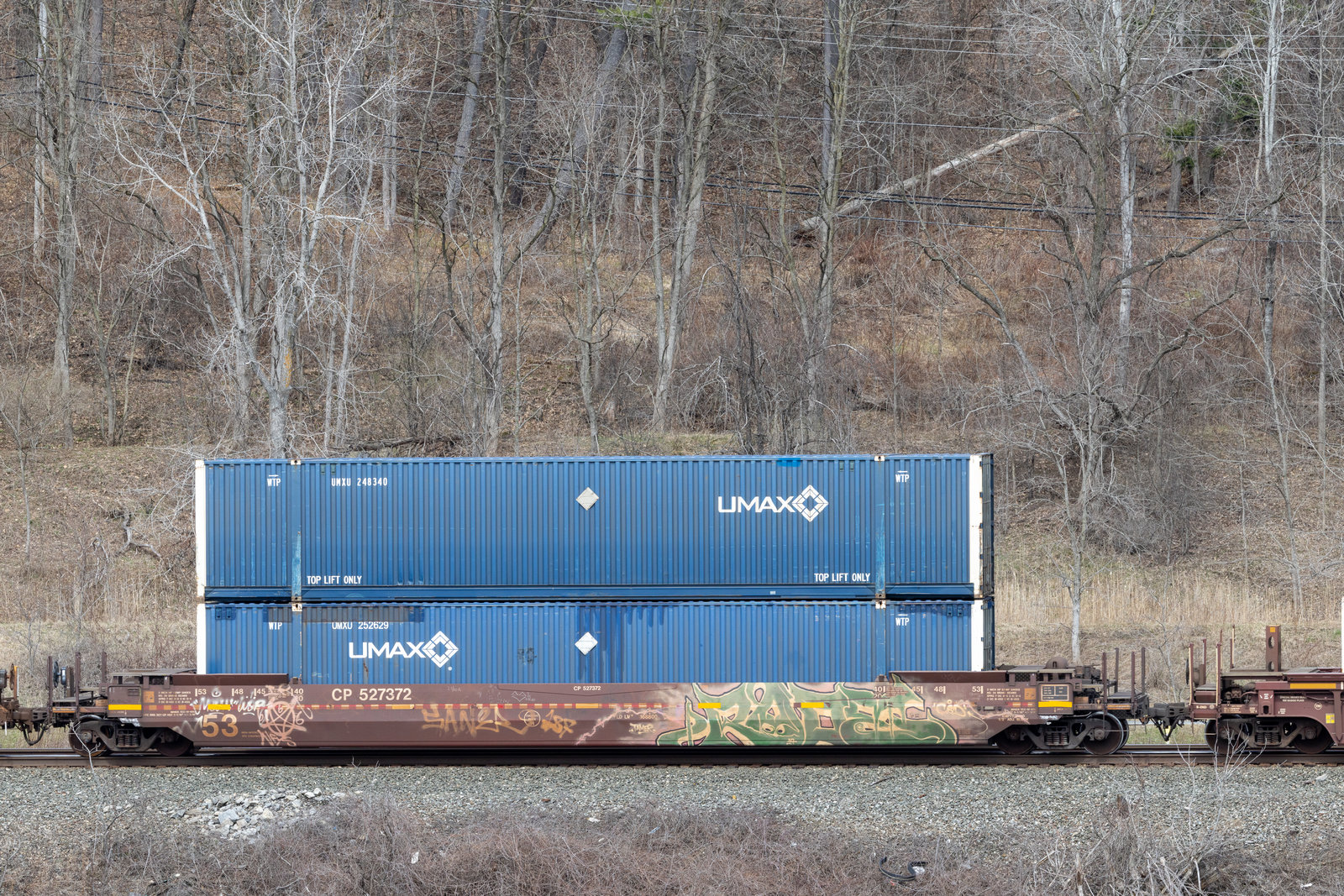 CP 527372