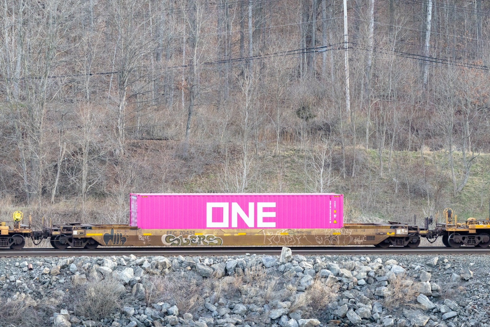 FEC 70451