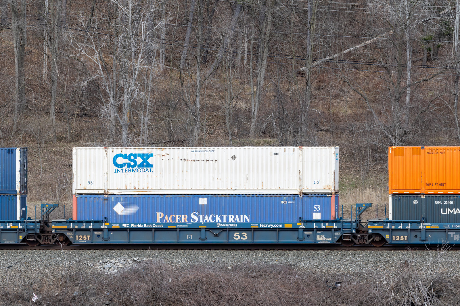 FEC 74219C