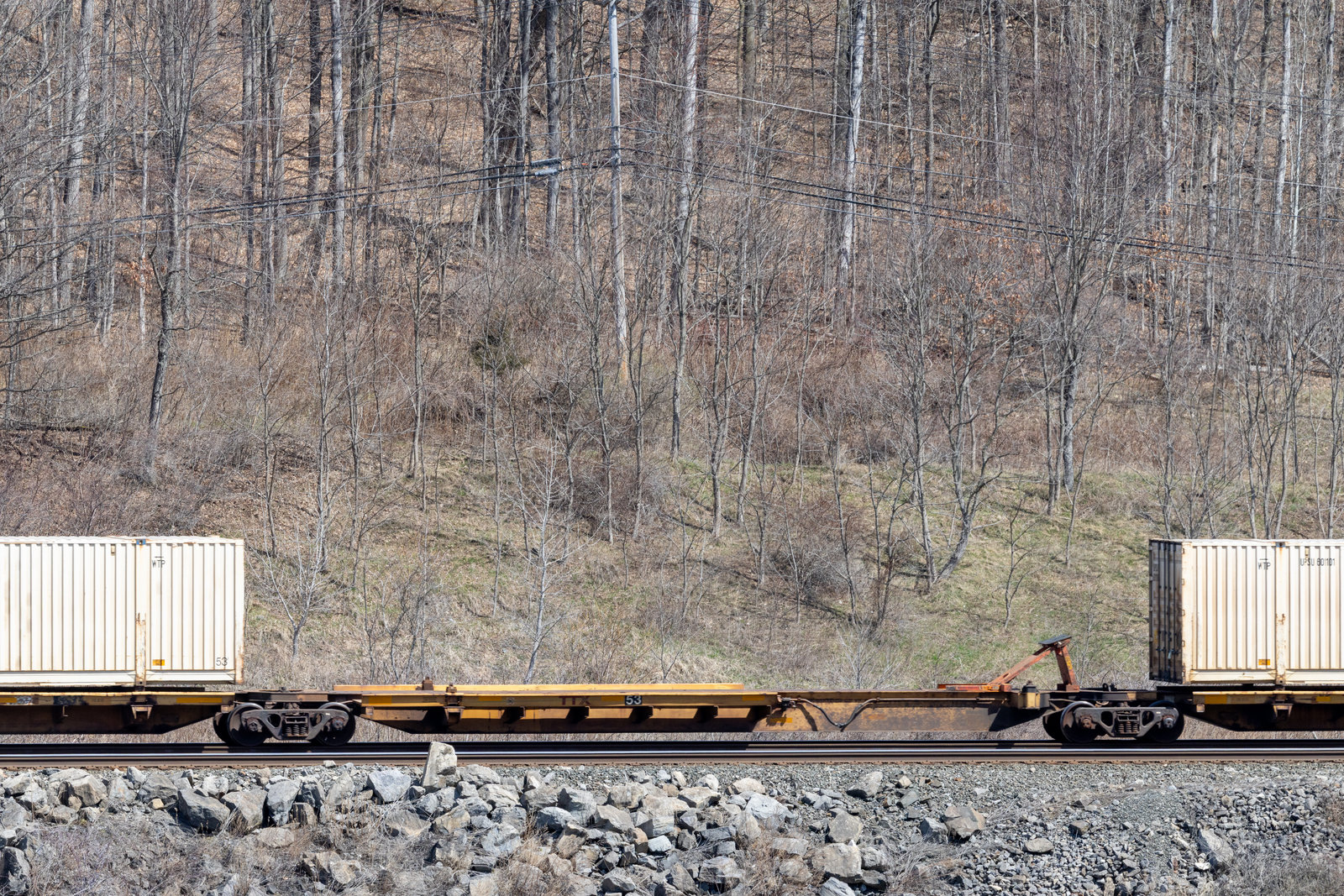 TTAX 753146E