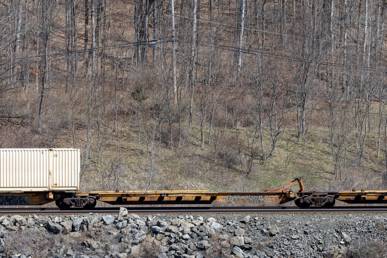 TTAX 753146C