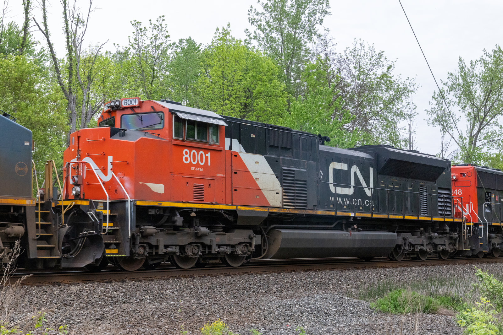 CN 8001