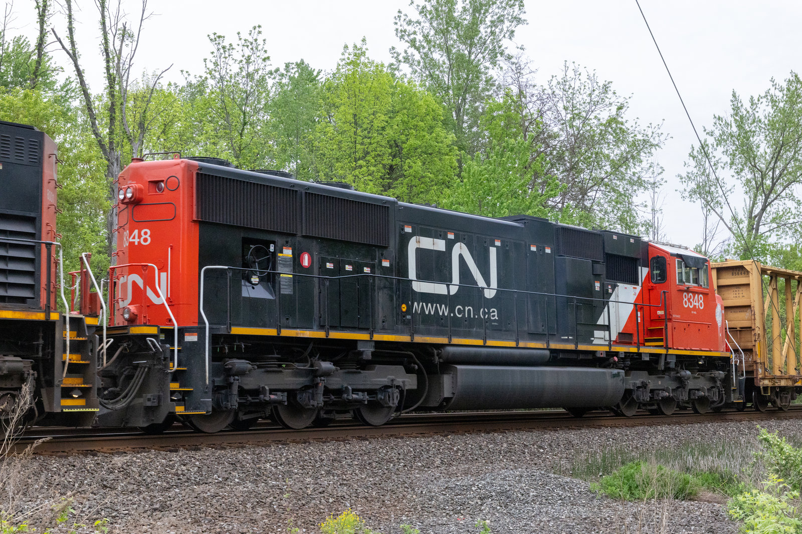 CN 8348