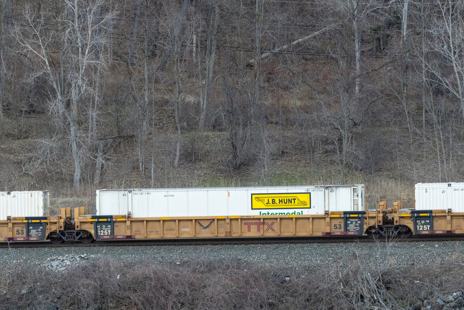 DTTX 790741C