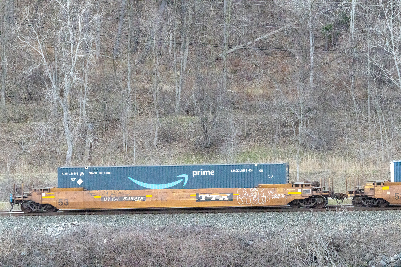 DTTX 645272