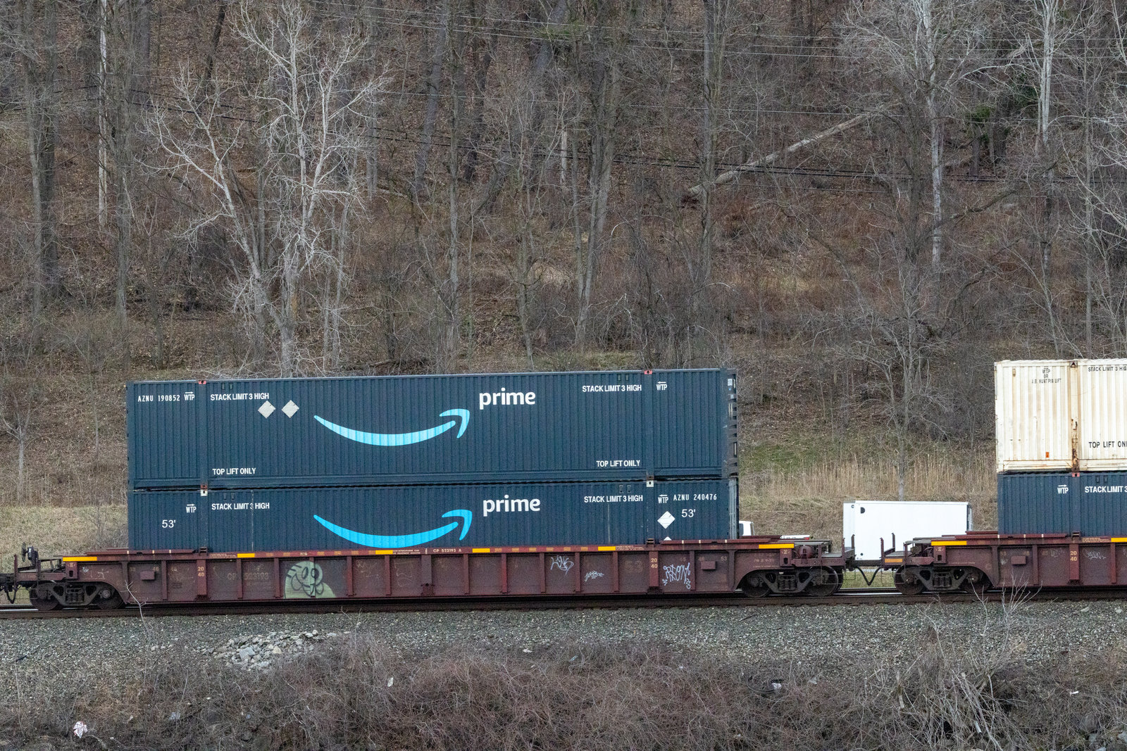 CP 523193A