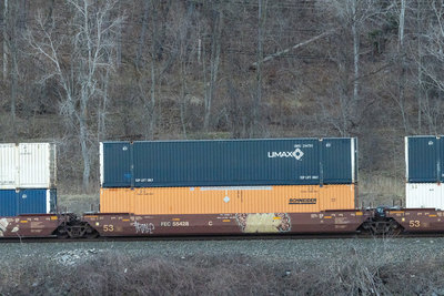 FEC 55428C