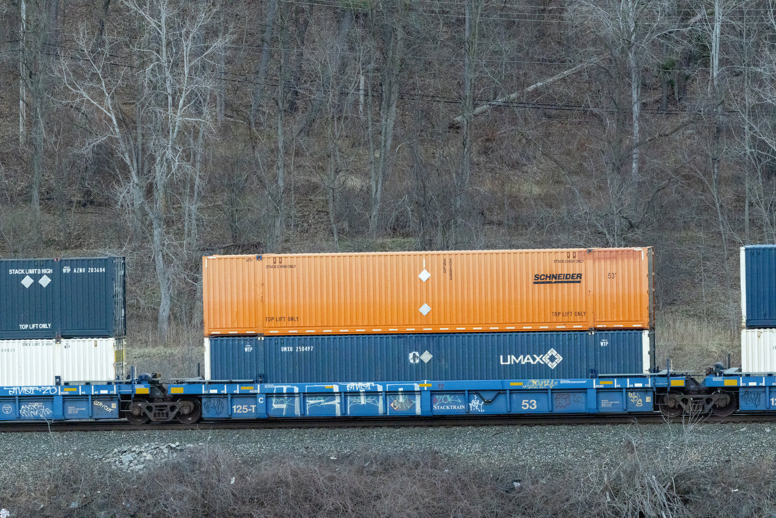 SFLC 9185C