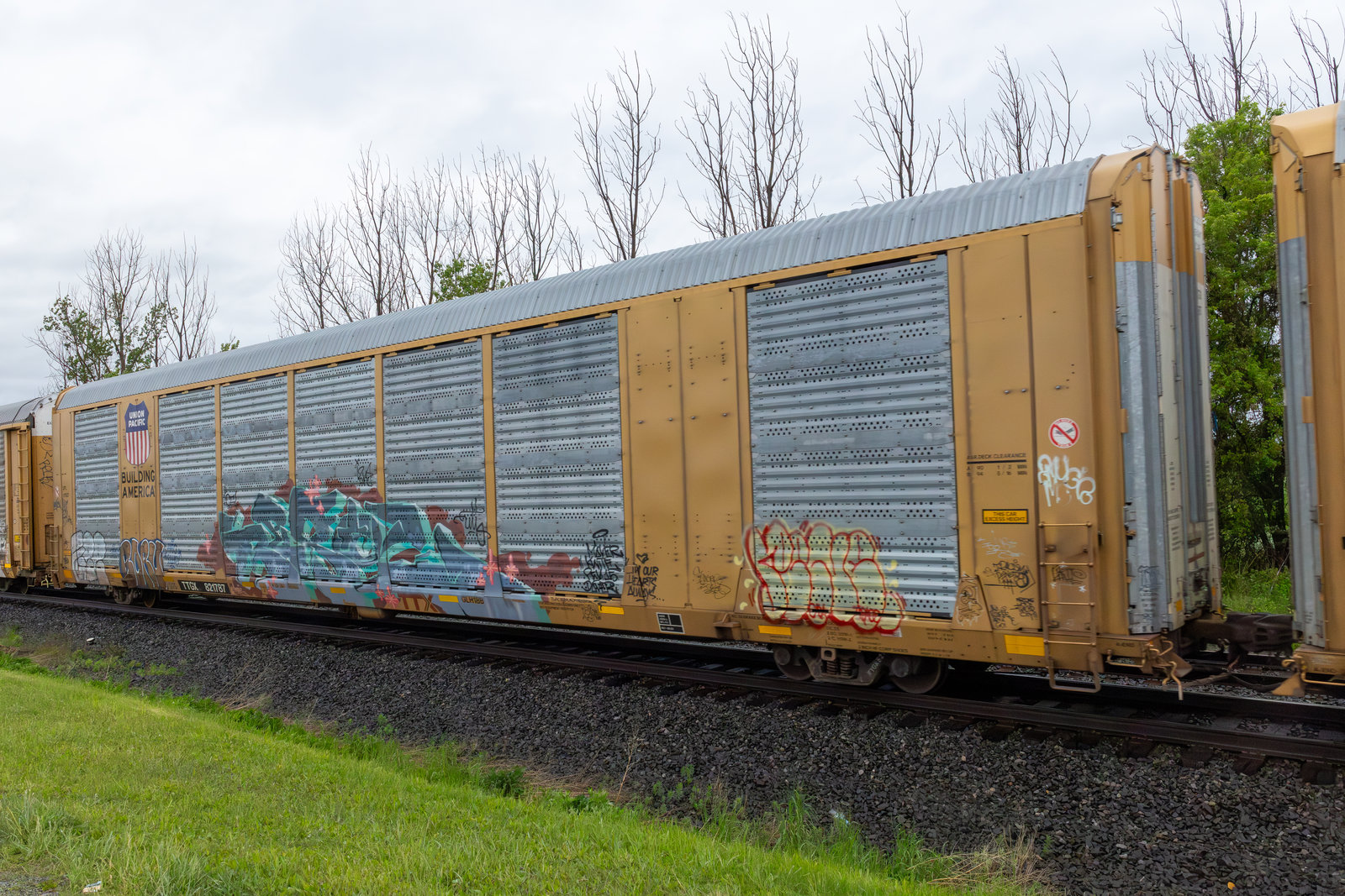 TTGX 821787