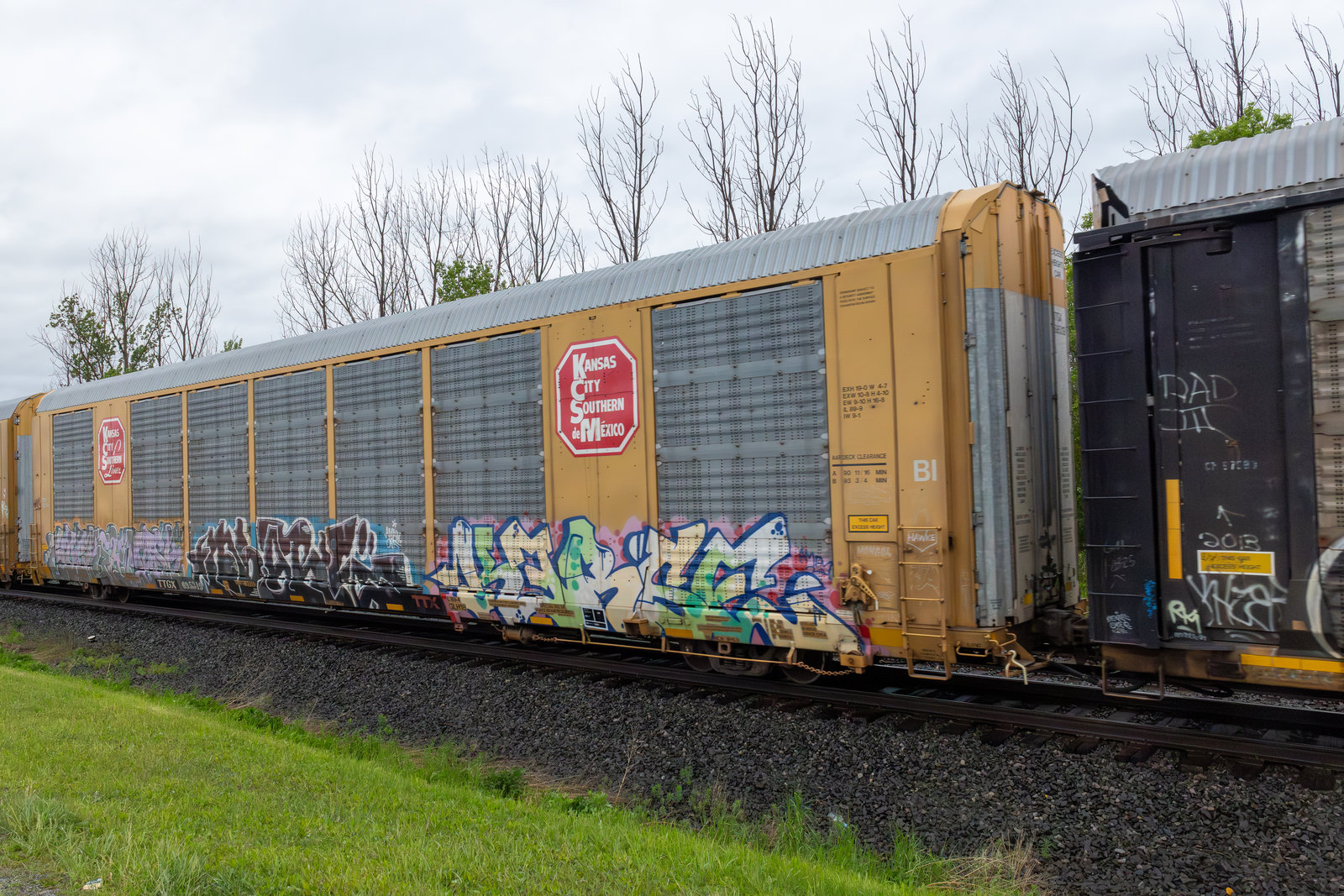 TTGX 695319