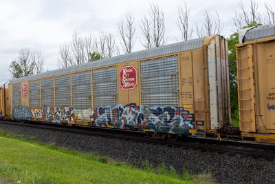 TTGX 691289