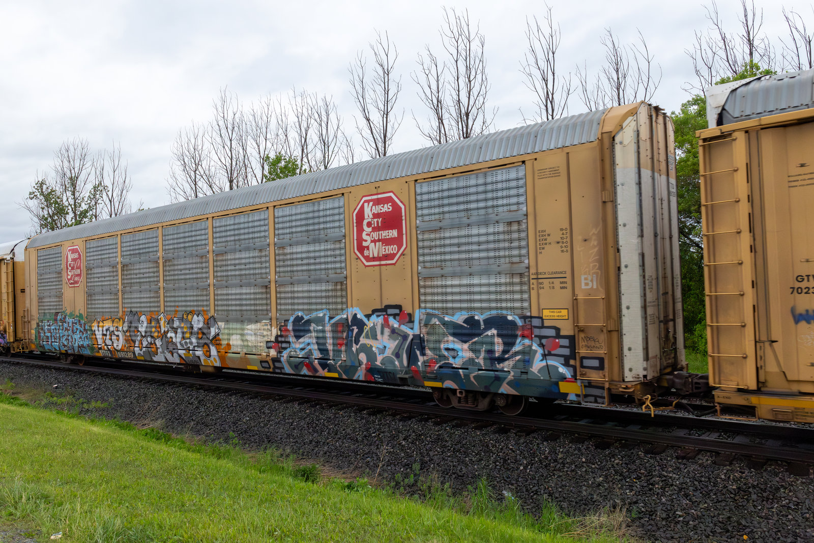 TTGX 691289