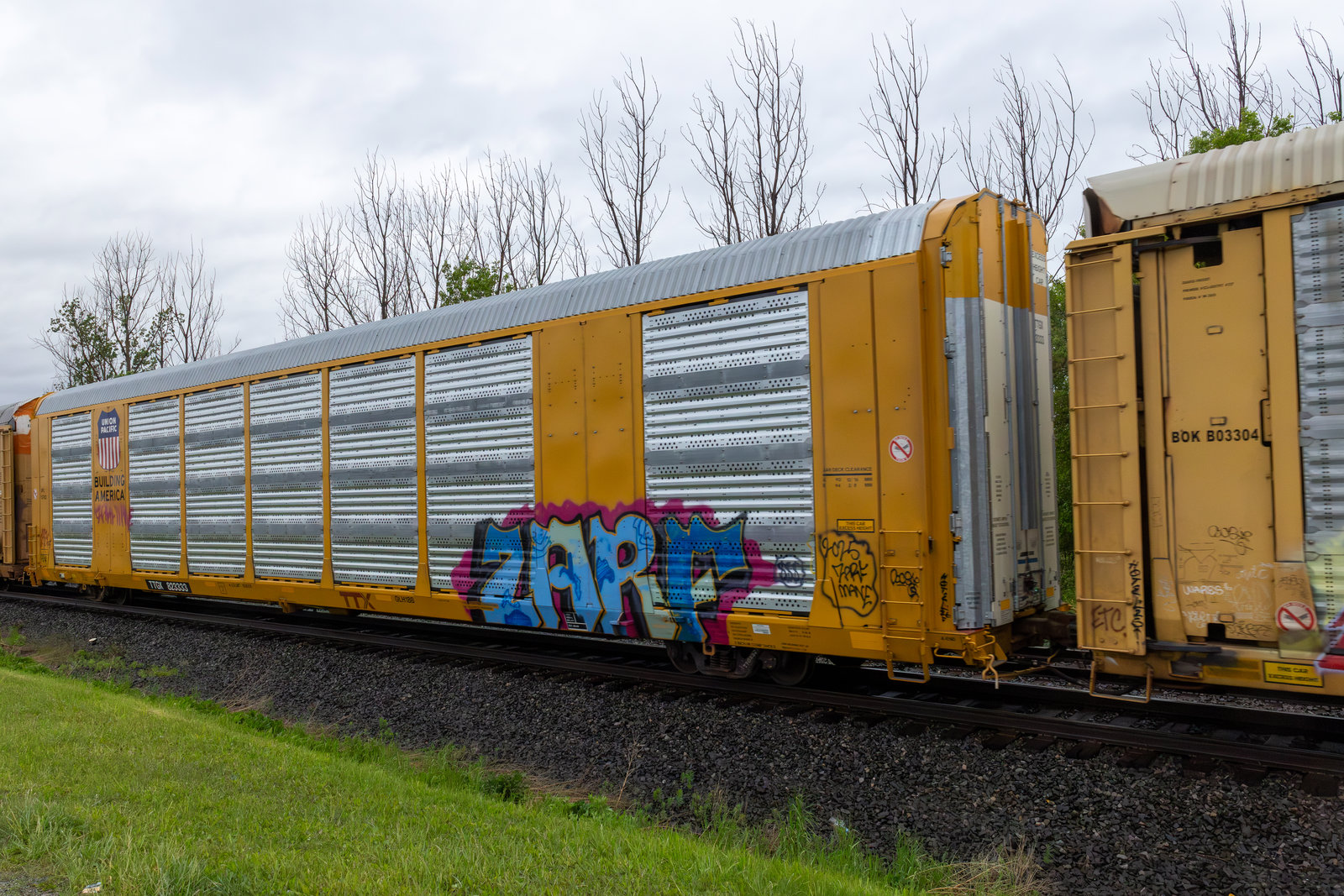 TTGX 823333