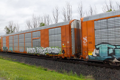 TTGX 693609