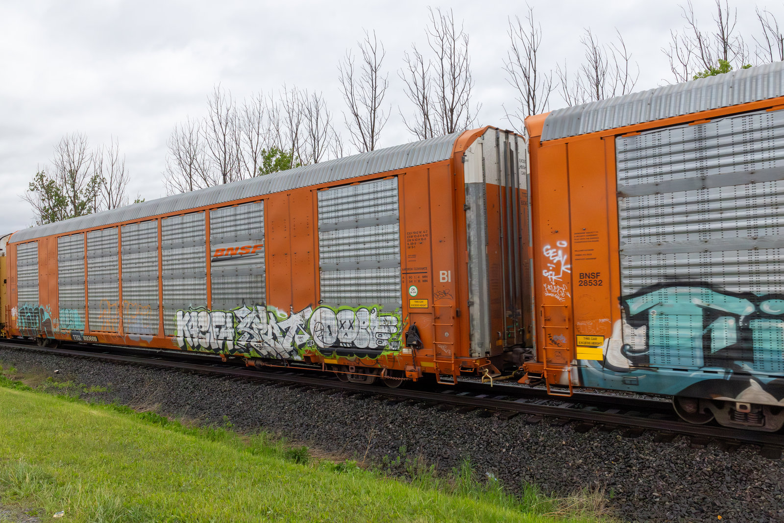 TTGX 693609