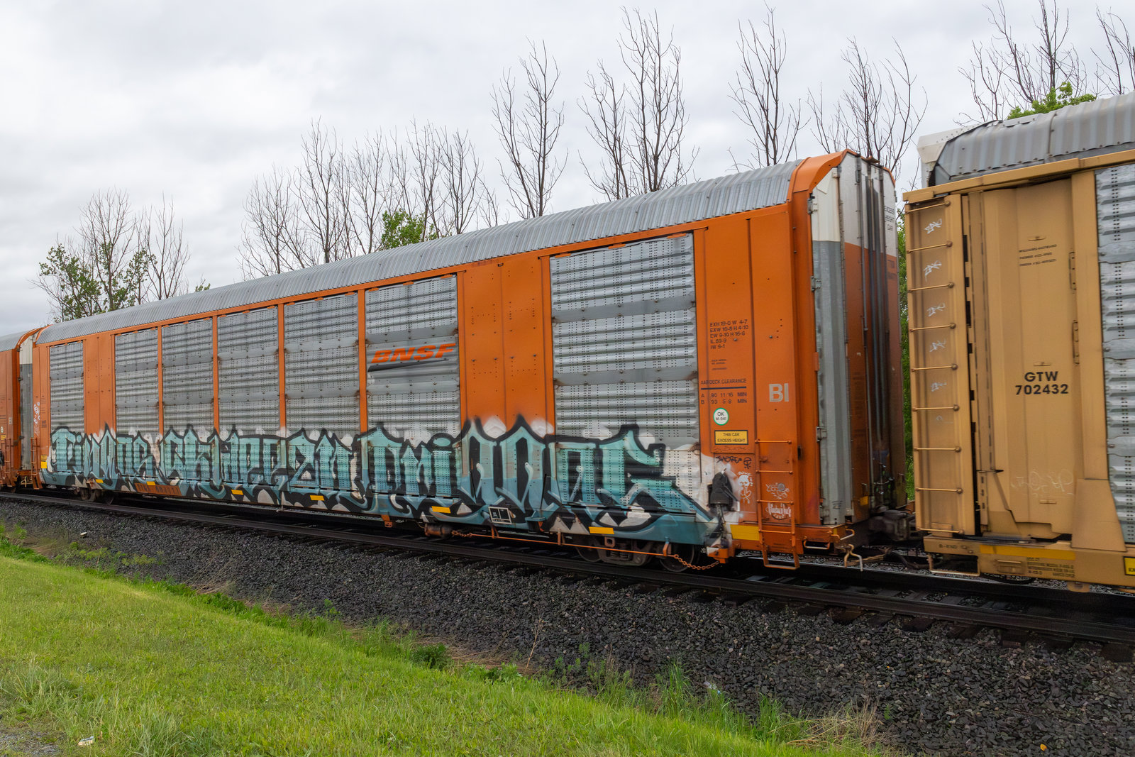 TTGX 694591