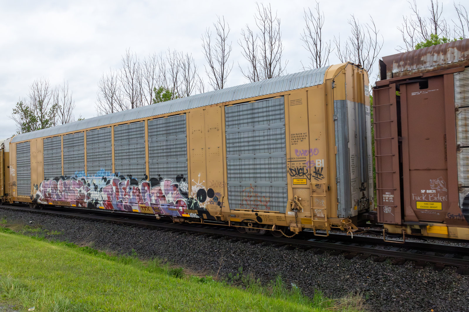 TTGX 695687