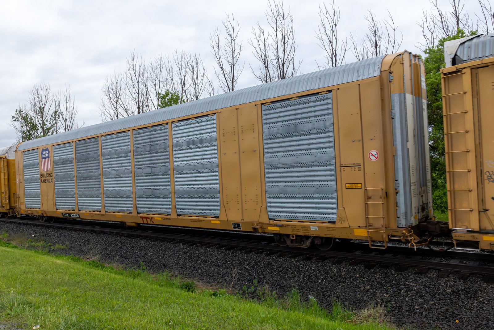 TTGX 821806