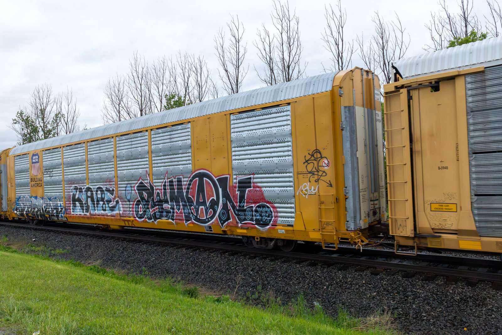 TTGX 699004