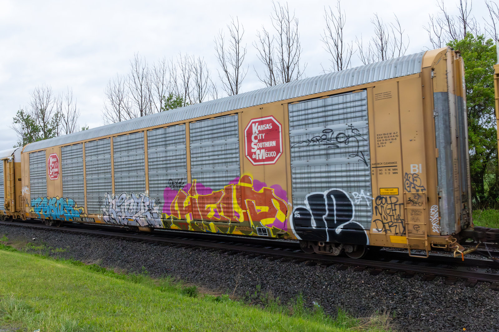 TTGX 696559