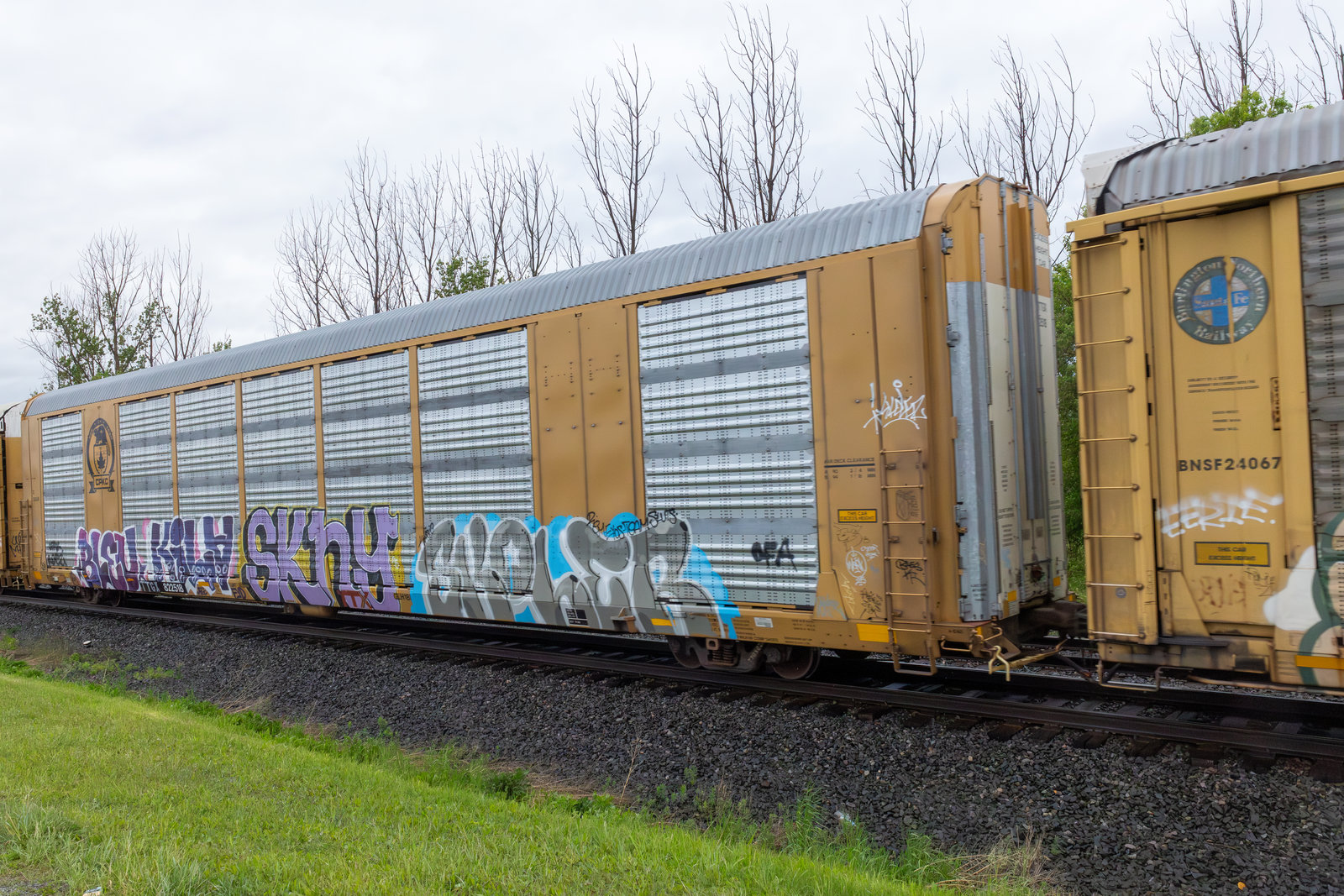 TTGX 822518