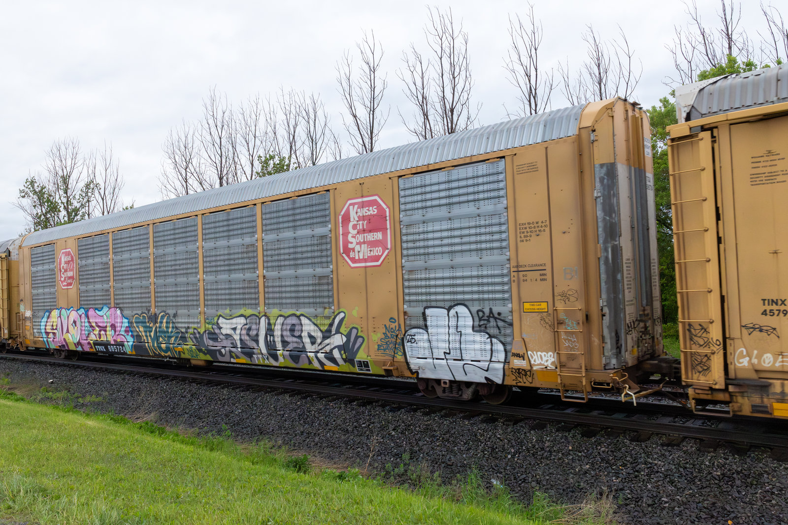 TTGX 695724