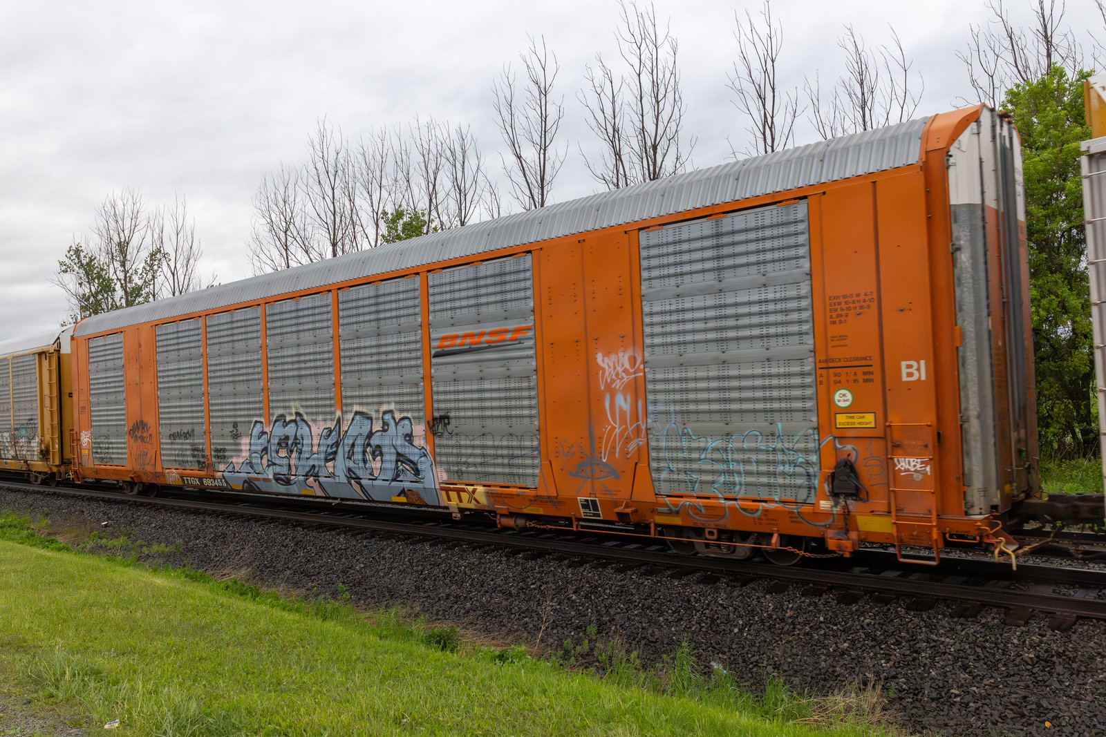 TTGX 693455