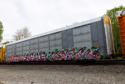 TTGX 825118