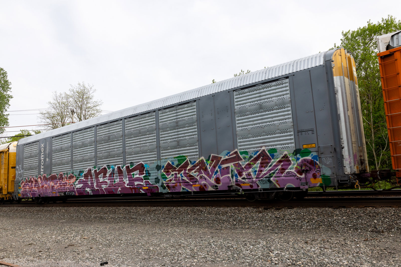 TTGX 825118