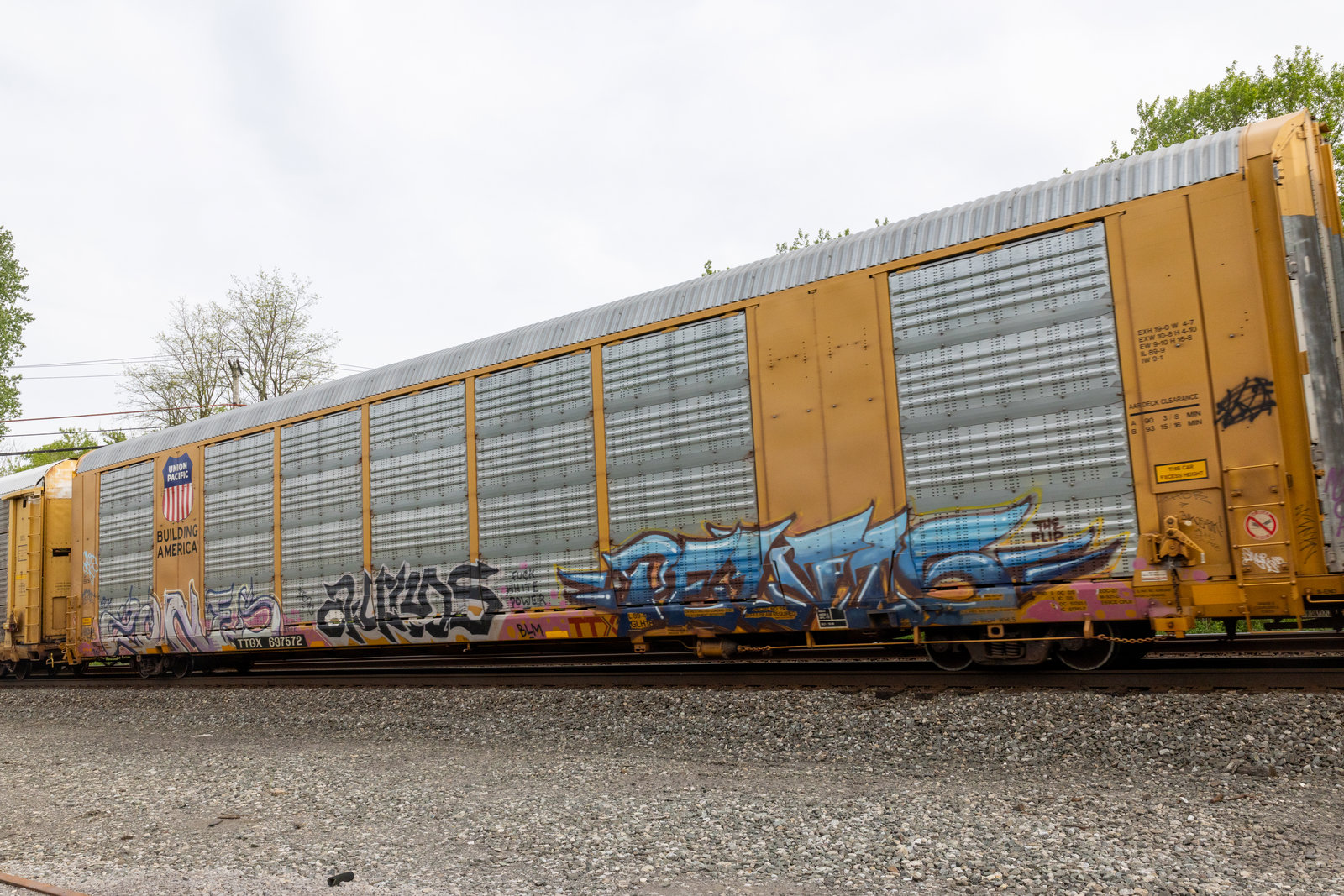 TTGX 697572