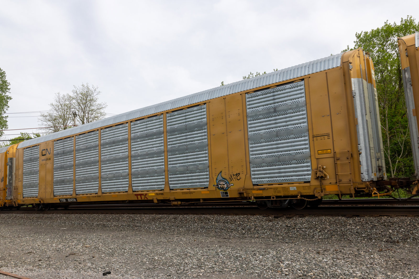 TTGX 824706