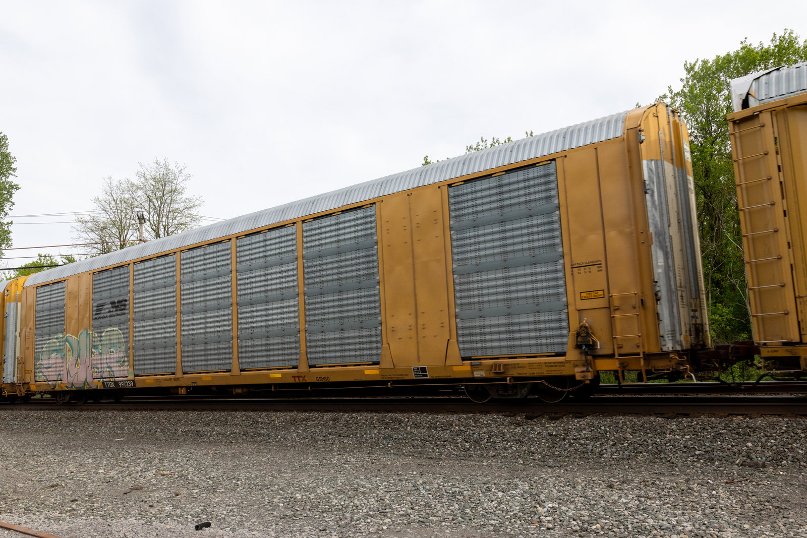 TTGX 997239