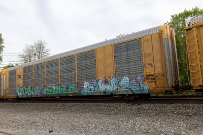 TTGX 695505
