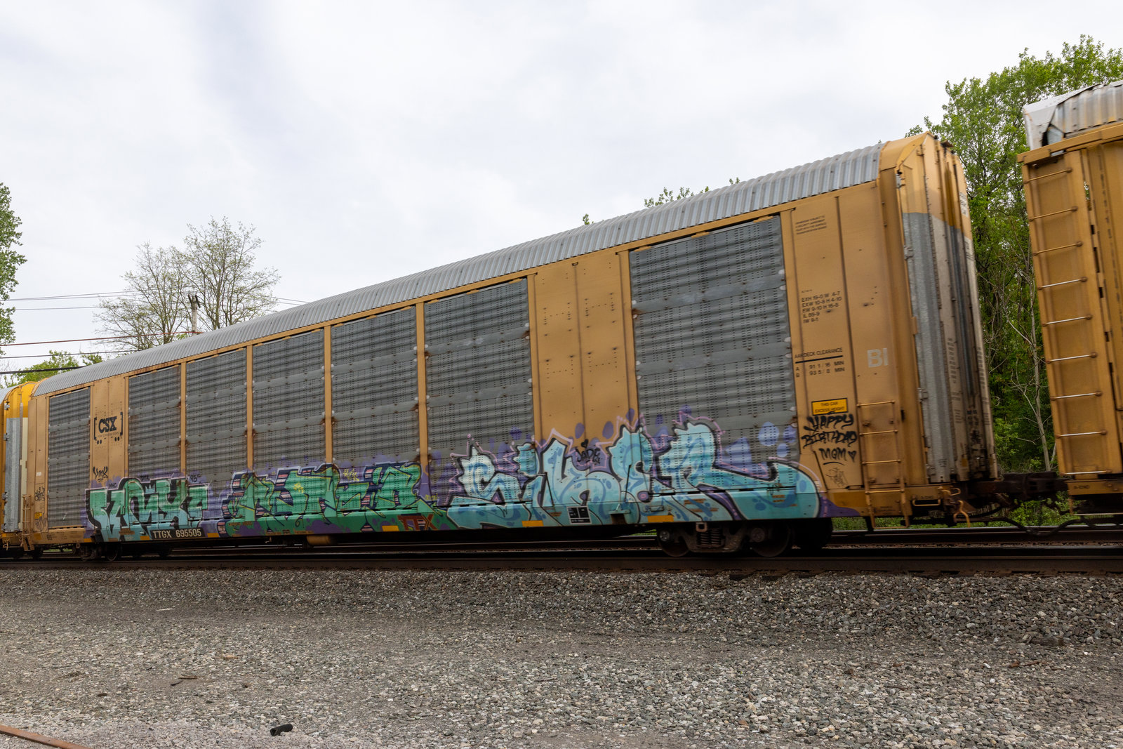 TTGX 695505